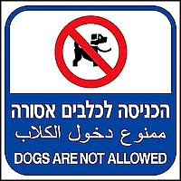 הכניסה לכלבים אסורה 40x40 ס